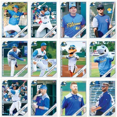 MYRTLE BEACH PELICANS 2019 MYRTLE BEACH PELICANS TEAM SET