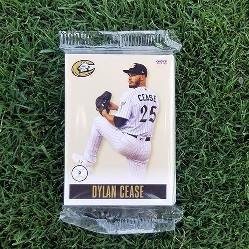 Knights 2019 Team Set