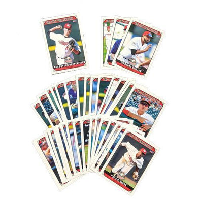 Tri-City ValleyCats 2019 Team Set