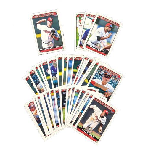 Tri-City ValleyCats 2019 Team Set