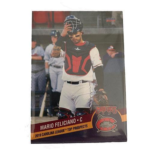 Wilmington Blue Rocks 2019 Carolina League Top Prospect Set
