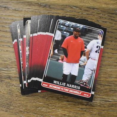 Richmond Flying Squirrels 2019 Flying Squirrels Team Set