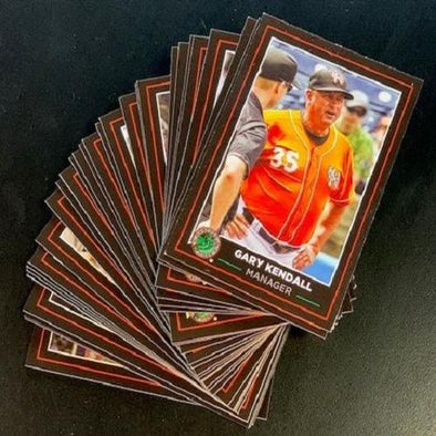 Norfolk Tides 2019 Team set