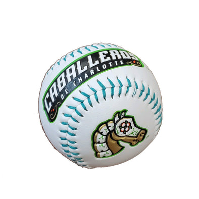 Charlotte Caballeros Baseball