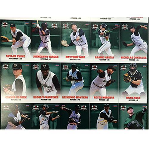 Augusta GreenJackets 2015 Team Card Set