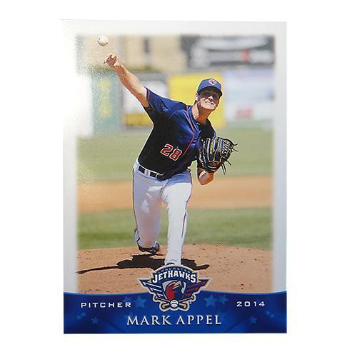 Lancaster JetHawks 2014 JetHawks Team Card Set