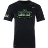 Richmond Flying Squirrels COPA AV Nike Full Logo Legend Dri-Fit
