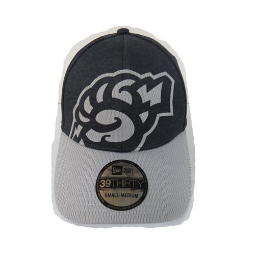 Trenton Thunder 3930 Cloud Fist logo Flex Fit Cap