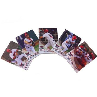 Orem Owlz 2010 Owlz Team Card Set