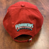 IT'S HERE! NEW ERA 9TWENTY CAP! NEW COPA DE DIVERSION FENOMENOS ENMASCARADOS DE LA VALLE DEL HUDSON