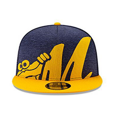 Montgomery Biscuits Overshadow Snapback