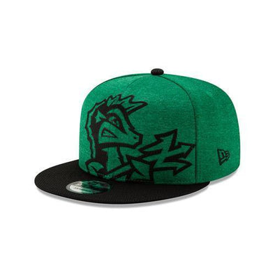 Norfolk Tides Overshadow 950
