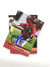 Rochester Red Wings 2010 Team Card Set