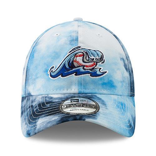 West Michigan Whitecaps Color Disturbance 920 Cap