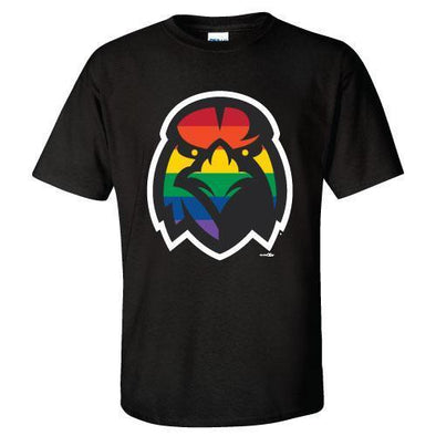 Aberdeen IronBirds Rainbow logo tee