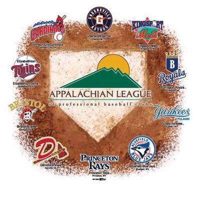 2015 Appalachian League Shirt