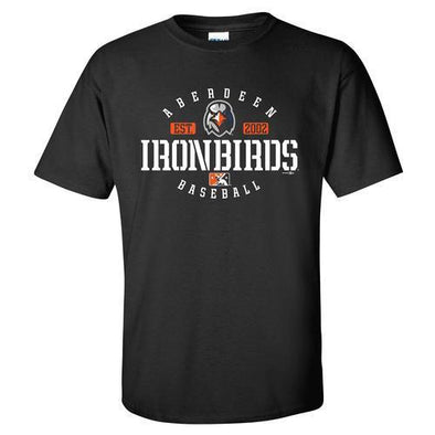 Aberdeen IronBirds Cube tee