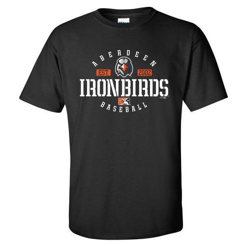 Aberdeen IronBirds Cube tee