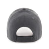 Fort Wayne TinCaps Alternate Replica