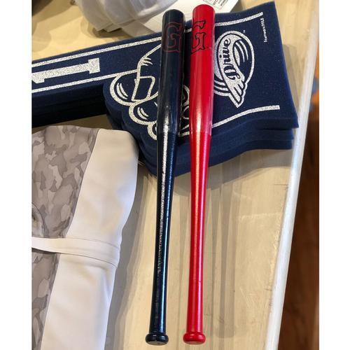 Greenville Drive Coopersburg Sports Mini Bat