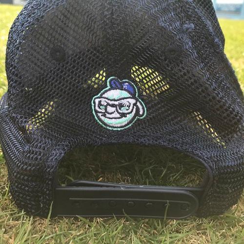 Asheville Tourists Tourists Belt Hat