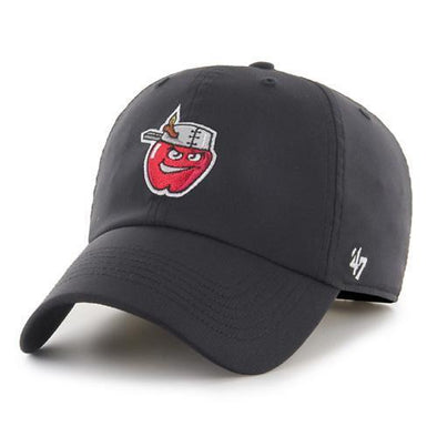Fort Wayne TinCaps Black Repetition Clean-up