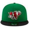 Winston-Salem Warthogs Hometown Collection New Era Cap