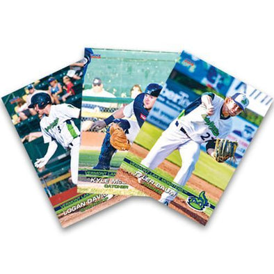 Vermont Lake Monsters 2019 Vermont Lake Monsters Team Set