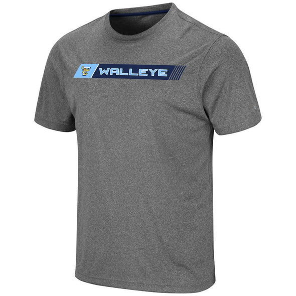 Toledo Walleye City Manager T
