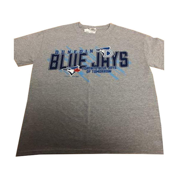 Dunedin Blue Jays DBJ Rewind Affiliate Gray