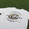 Charlotte Knights Stitched Tee