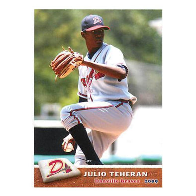 Danville Braves 2009 Team Set