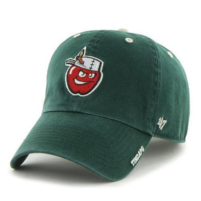 Fort Wayne TinCaps Dark Green Ice Clean Up
