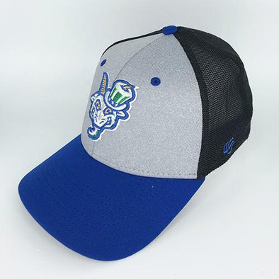 Hartford Yard Goats OC Sports Dinger Flex Fit