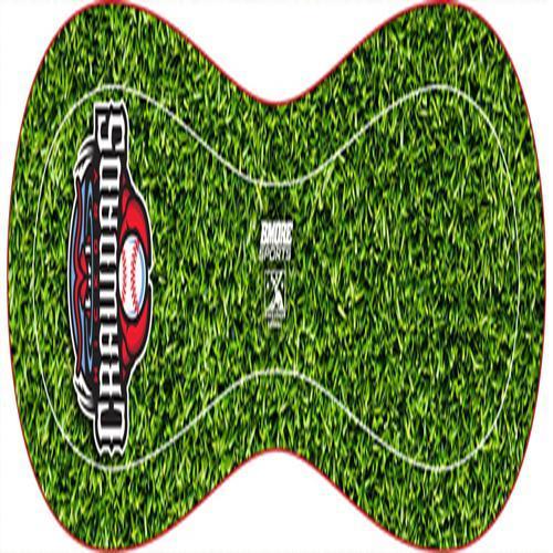 Hickory Crawdads Grass/Dirt Designer Baseball