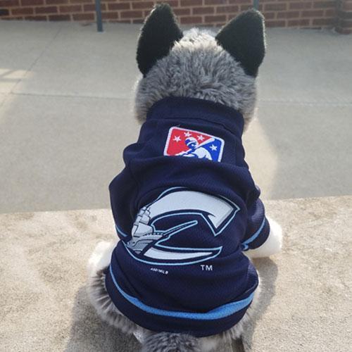 Columbus Clippers Dog Jersey