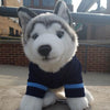 Columbus Clippers Dog Jersey