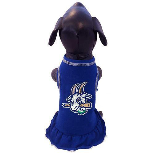 Hartford Yard Goats All Star Dog Dress in Royal