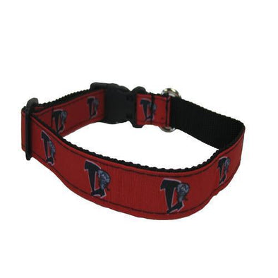 Lansing Lugnuts Lugnuts Dog Collar