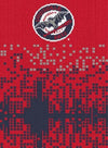 Downtown Crew Socks