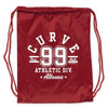 Altoona Curve Drawstring Bag