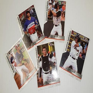 2019 Shorebirds Mini Update Card Set - featuring Adley Rutschman