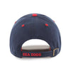 Portland Sea Dogs Flag State Logo GW Ice Adult Cap