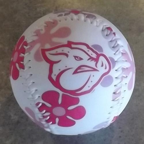 Lehigh Valley IronPigs Flower Baseball