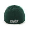 Fort Wayne TinCaps Forest Franchise Cap
