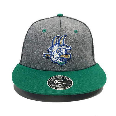 Hartford Yard Goats OC Sports Fresh Flex Fit - Green / Grey