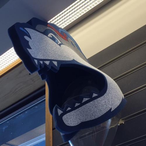 Pawtucket Red Sox PawSox Foam Bear Head