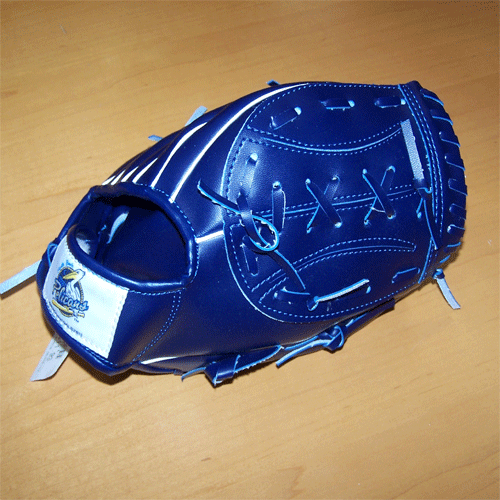 Myrtle Beach Pelicans BWM FIELDING GLOVE