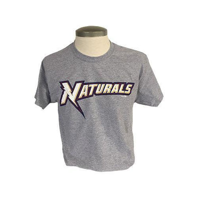 Northwest Arkansas Naturals Toddler Wordmark Tee Gray