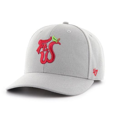 Fort Wayne TinCaps Grey FTW MVP